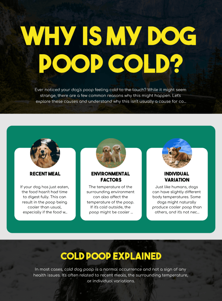 my dog poop is ice cold