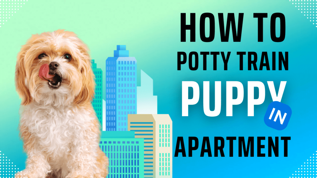 How to Potty Train a Puppy in an Apartment – Expert Tips