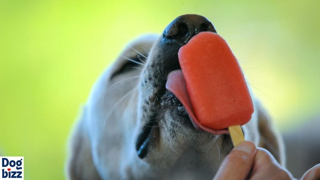 Fruity Frozen Delights for Dogs