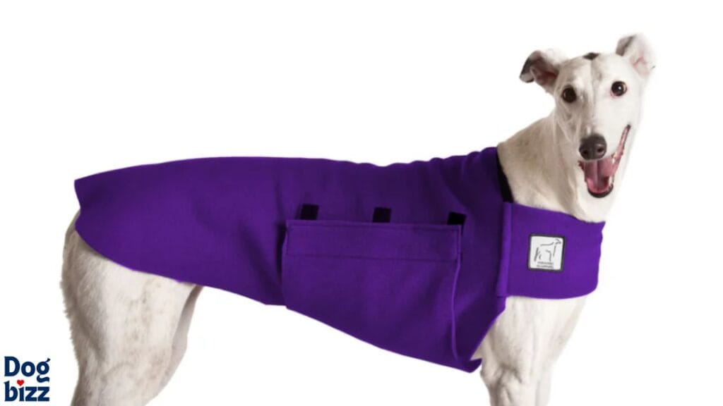 Benefits of Cooling Vests for Hounds