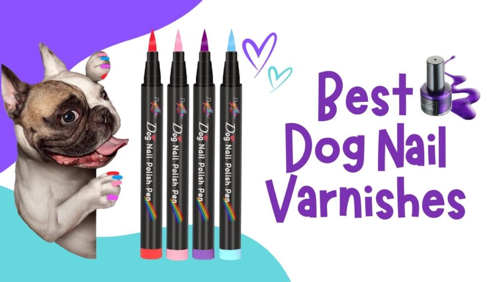 best dog nail varnishes and nail polishes