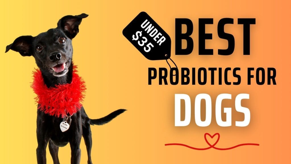 probiotic for dogs under $35