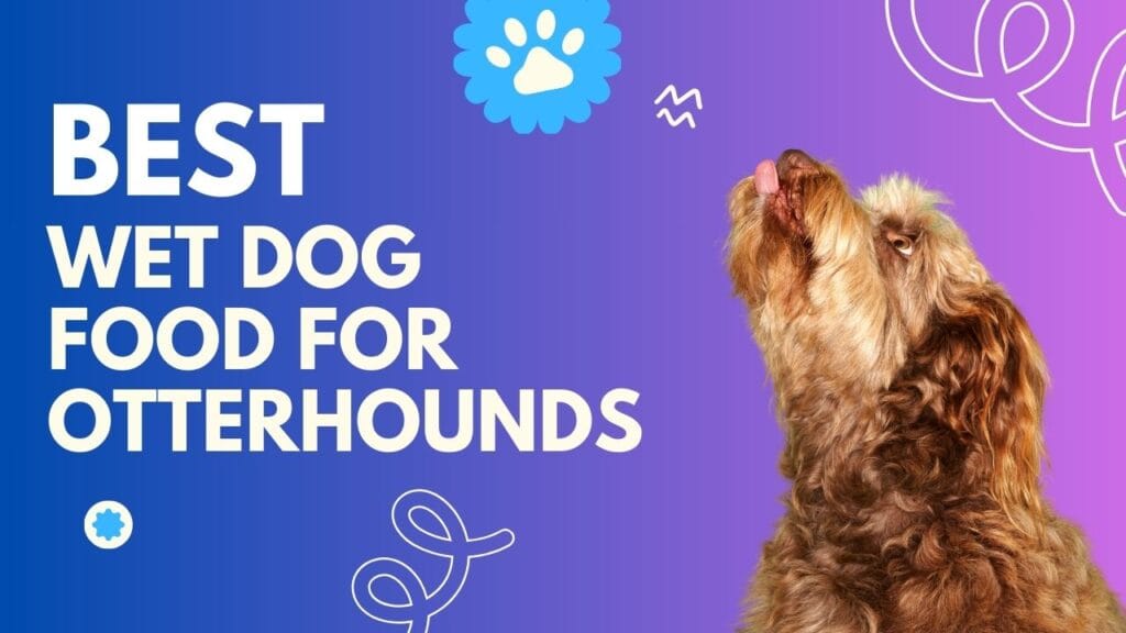 Best Wet Dog Food for Otterhounds ( Puppies to Seniors)