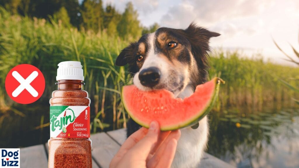 Is Tajin Safe for Dogs