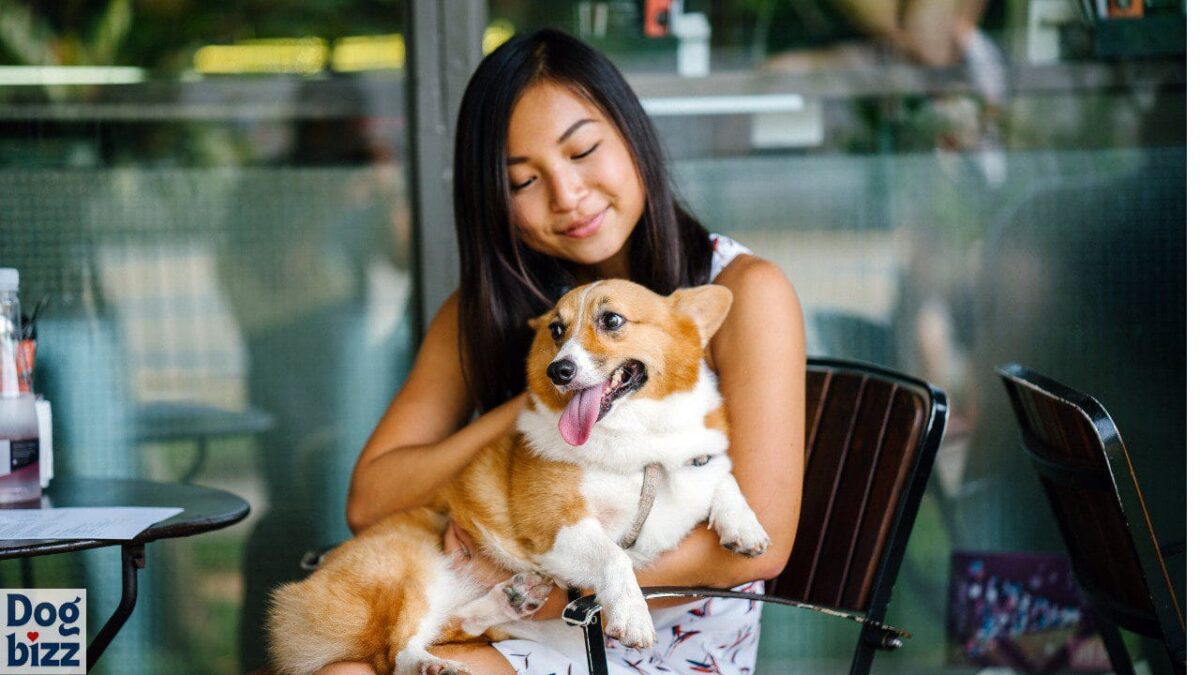 The Rise of Dog-Friendly Restaurants and Cafés in USA