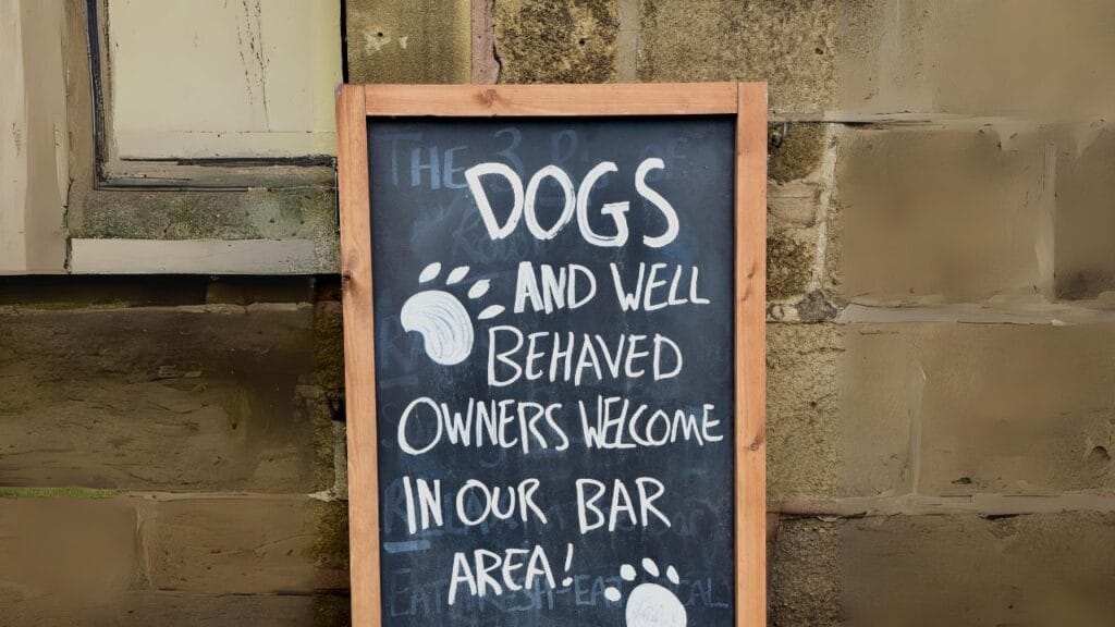 dog friendly restaurants bars 2024