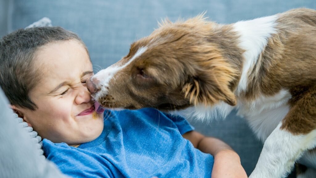 Why Dogs Lick Their Lips When Pet