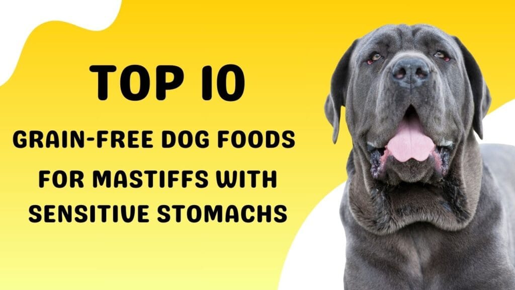 Grain-Free Dog Foods for Mastiffs with Sensitive Stomachs