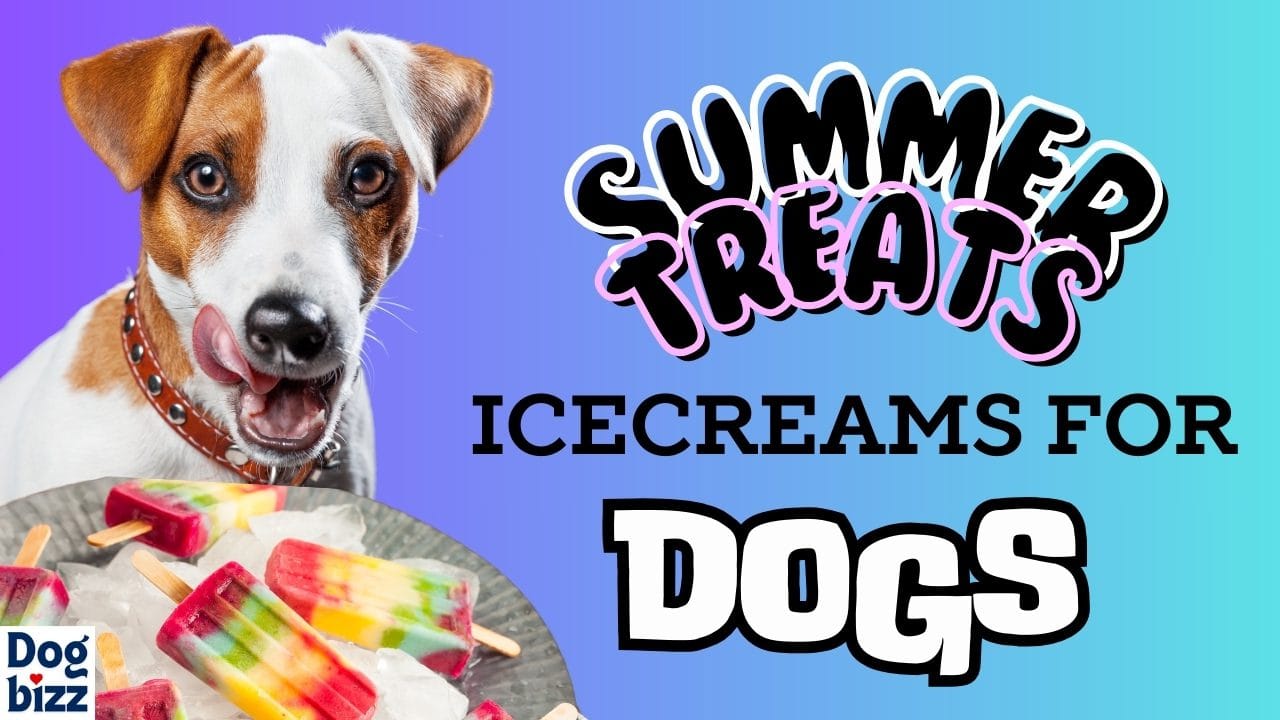 homemade ice cream recipes for dogs