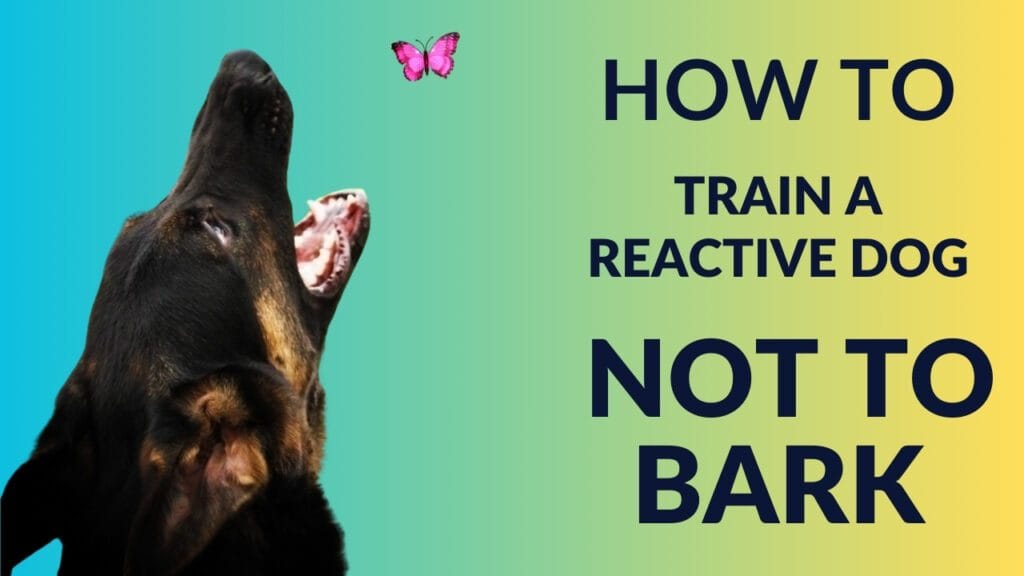 how to train a reactive dog not to bark