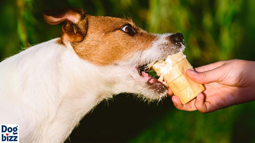 Benefits of Homemade Dog Ice Cream