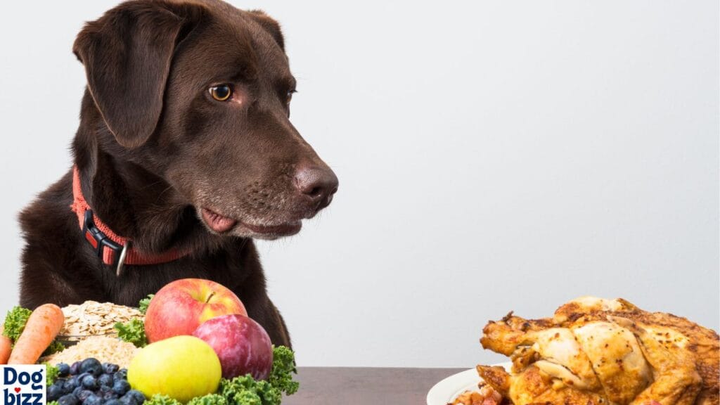 The Dangers of Dogs Eating Bologna Chicken