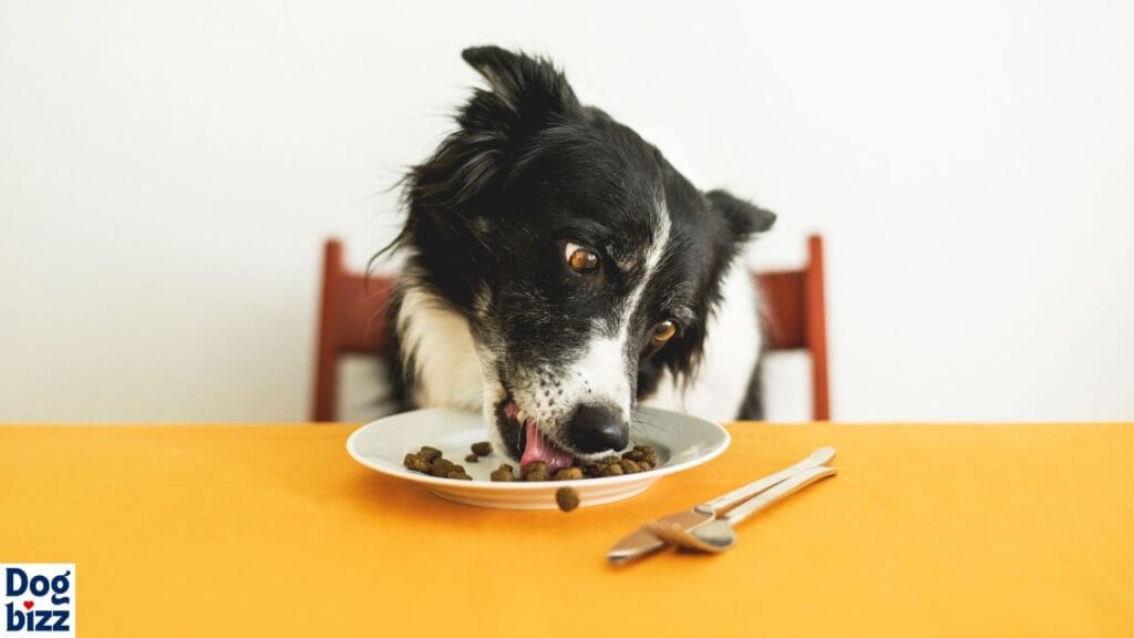 What to Do If Your Dog Ate Tajin