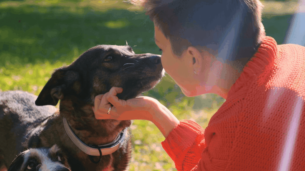 why my dog licks lip when i pet him