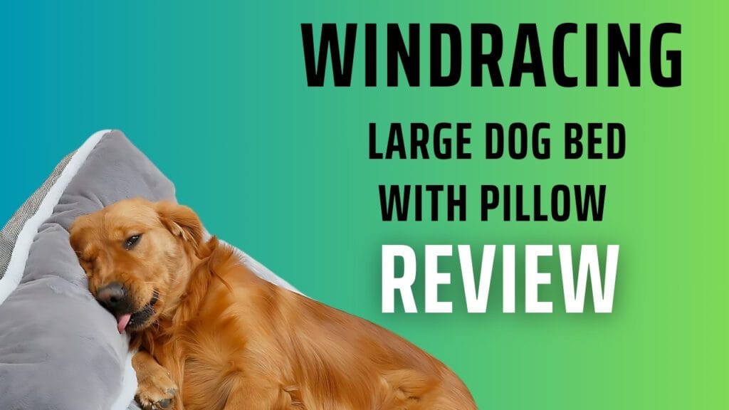 Windracing Large Dog Bed with Pillow review