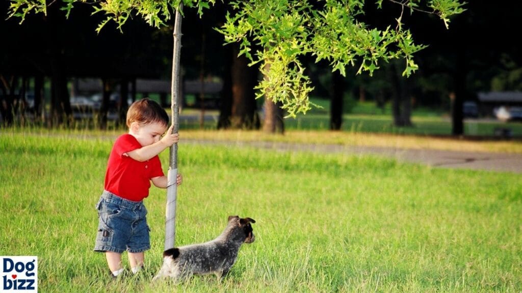 German Shepherd Blue Heeler and Children