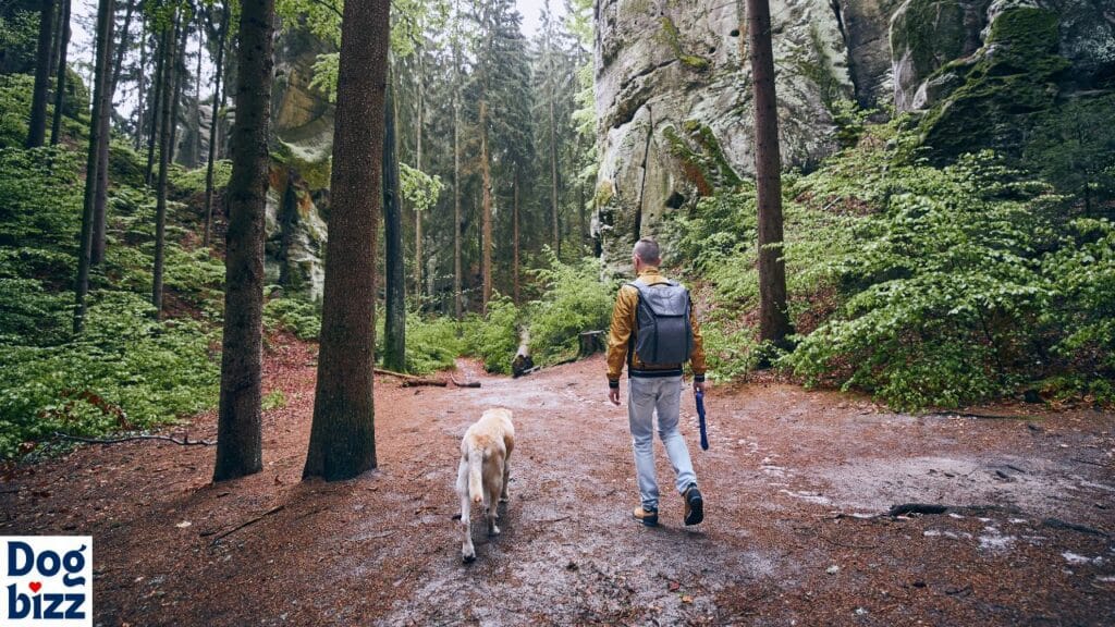 Obedience Training: The Foundation for Hiking