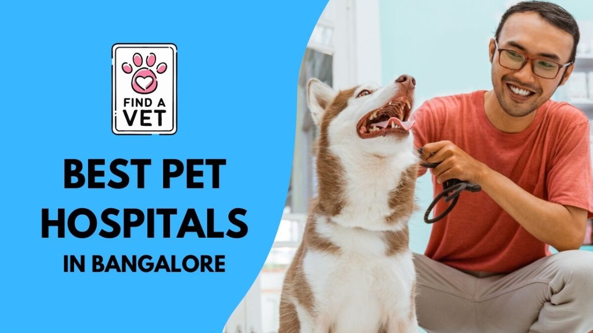 Best Pet Hospitals in Bangalore