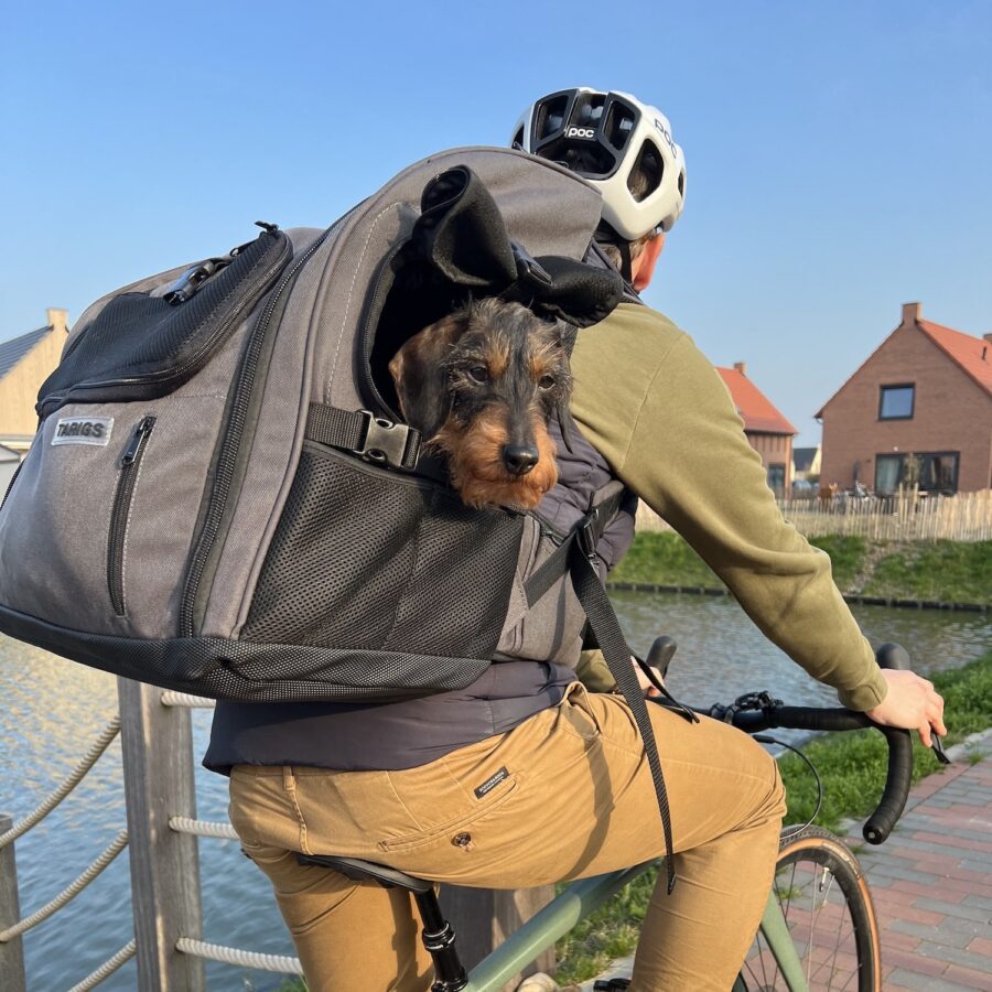 Dog Backpack