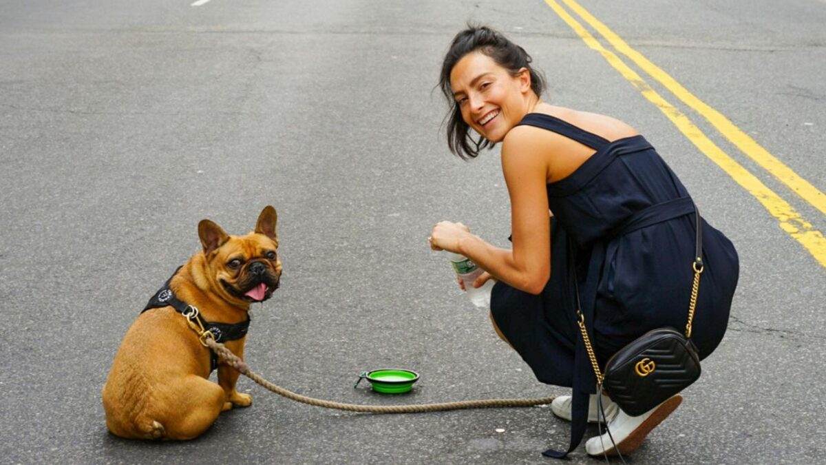 are french bulldogs born with tails