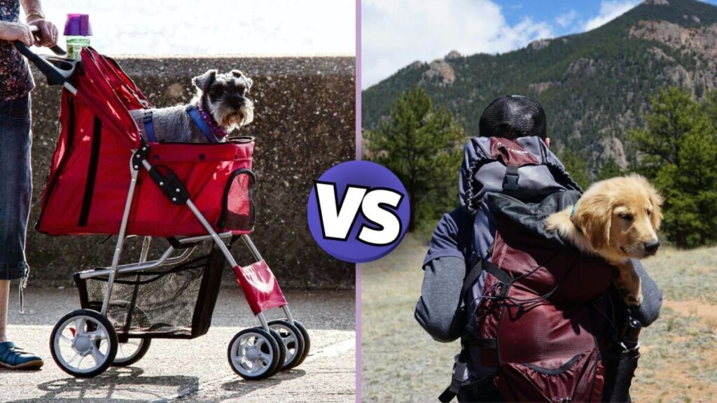 dog stroller vs dog backpack