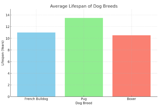 average lifespan of frenchies