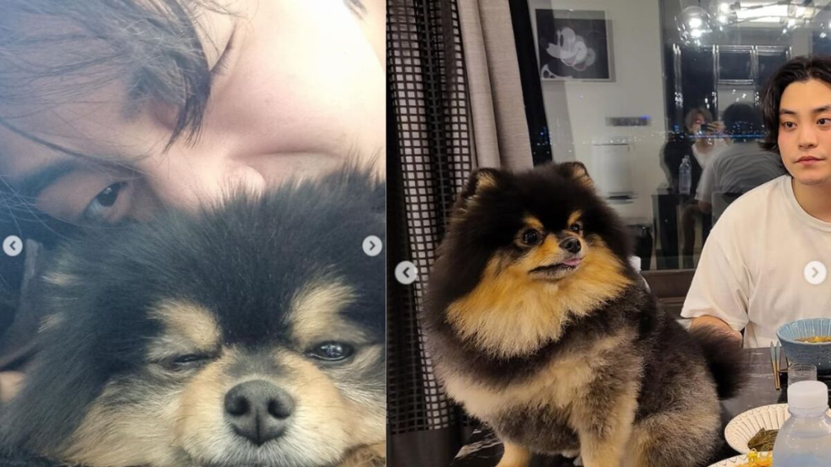 yeontan dog died